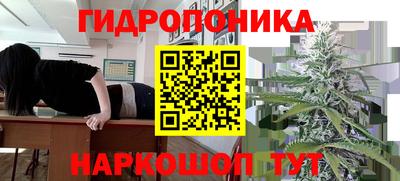 гидропоника Новодвинск