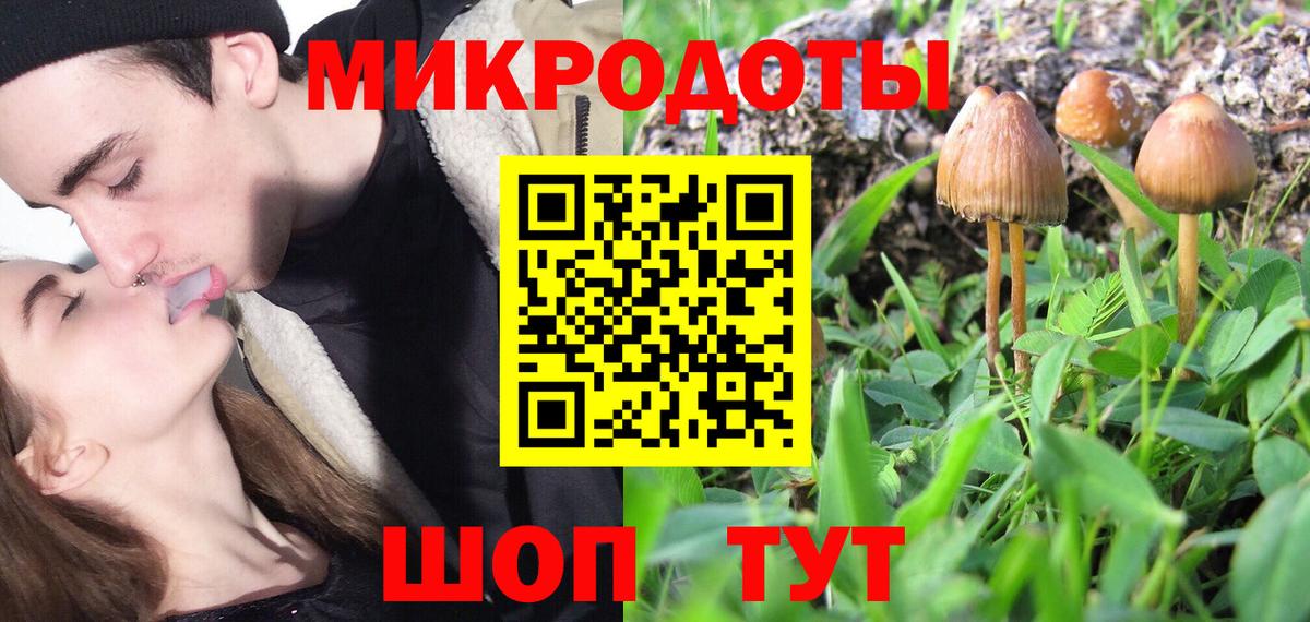 Псилоцибиновые грибы Psilocybine cubensis Прокопьевск