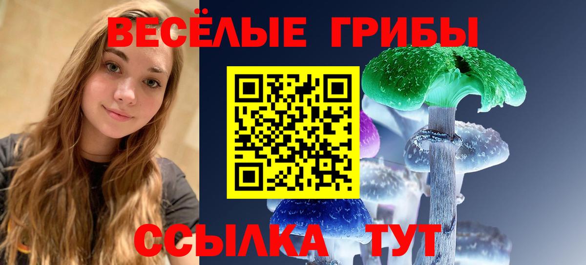 как найти наркотики  Вход с VPN  Прокопьевск  Псилоцибиновые грибы Psilocybine cubensis 